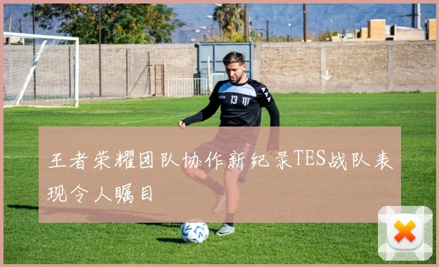 王者荣耀团队协作新纪录TES战队表现令人瞩目